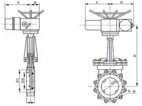 PZ673-1.jpg