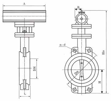 qiufa-22-b.jpg